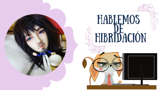 hablemos-de-hibridación