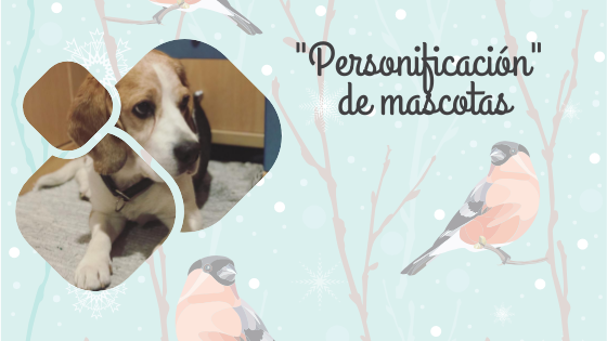 personificacion mascotas